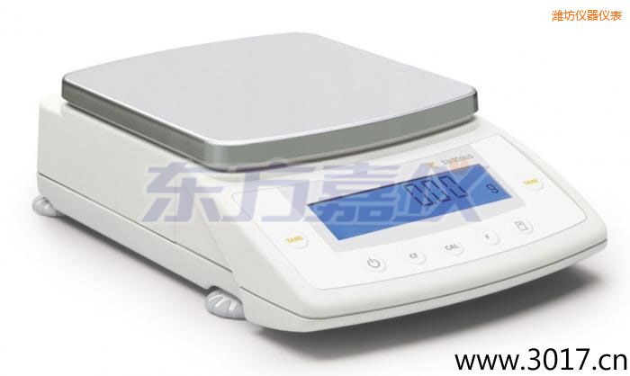 �H��CPAϵ�о��������ƽ,1,500|3,000|6,200g,0.01|0.02|0.05mg