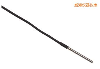 ����Full Immersion PRT