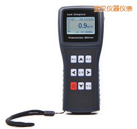 武漢測(cè)振儀