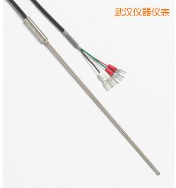武漢快速響應(yīng)鉑電阻溫度計
