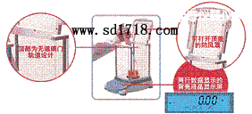 Т�����M����ƽ,4100g,0.1g